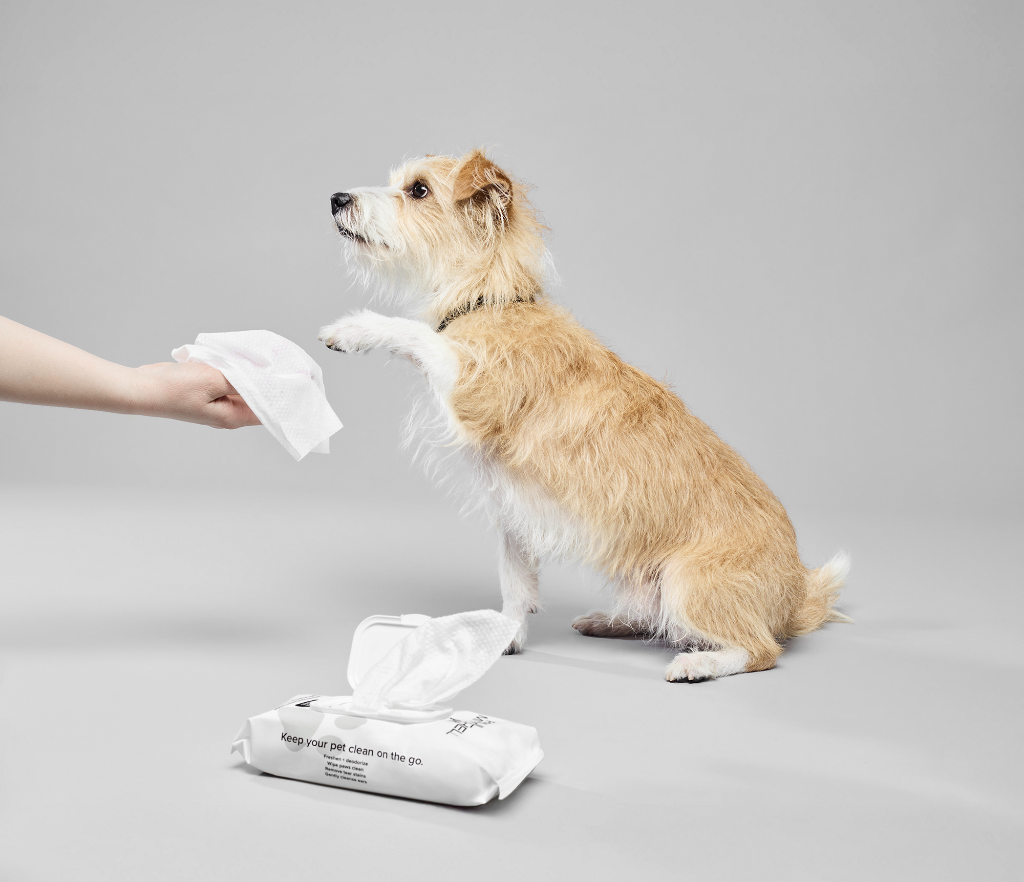 <em>Your Pet Deserves Paul Mitchell</em>